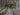 Green Bay Packers Mask