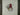 Daisy Gnome Embroidered Towel 499