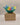 Rainbow Butterflies Bowl Cozy