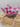 Pink Triangle Bowl Cozy