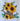 Sunflower Watering Can Embroidered Towel 557